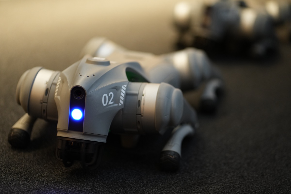 Agentic Hack 2026 photo 13